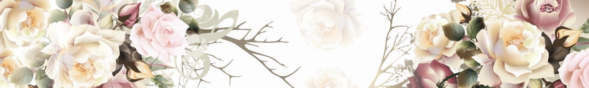 skinali 2655